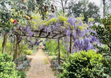 Wing Haven: Connecting Community to Nature