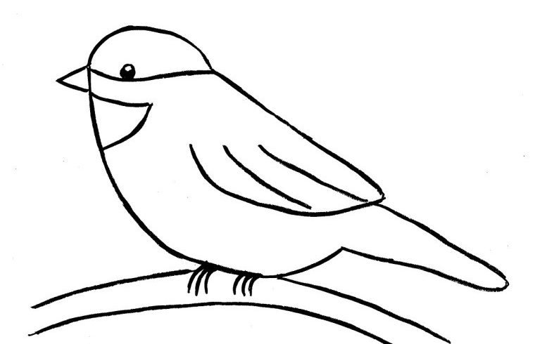 chickadee coloring pages