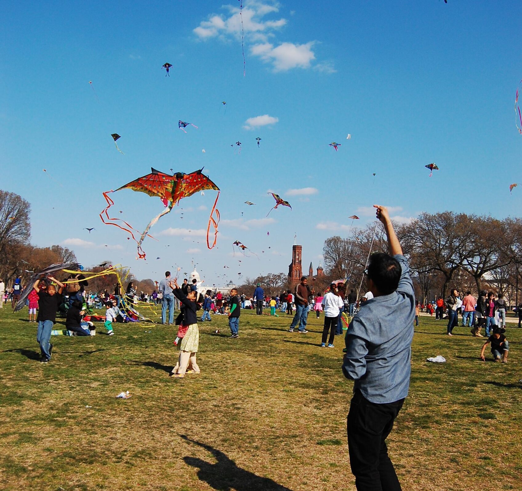Adults Should Fly Kites Too (And for More Reasons Than You May Think