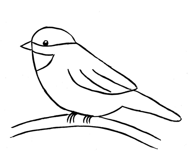 bird on branch drawing